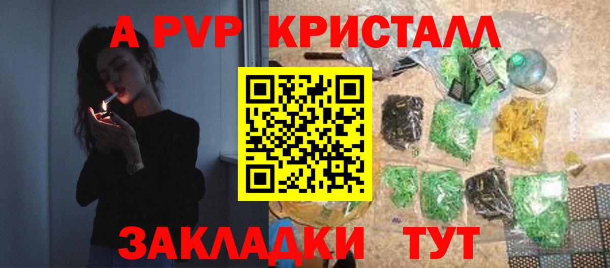 Alfa_PVP СК КРИС  Alpha-PVP СК  Майкоп  Вход с VPN 