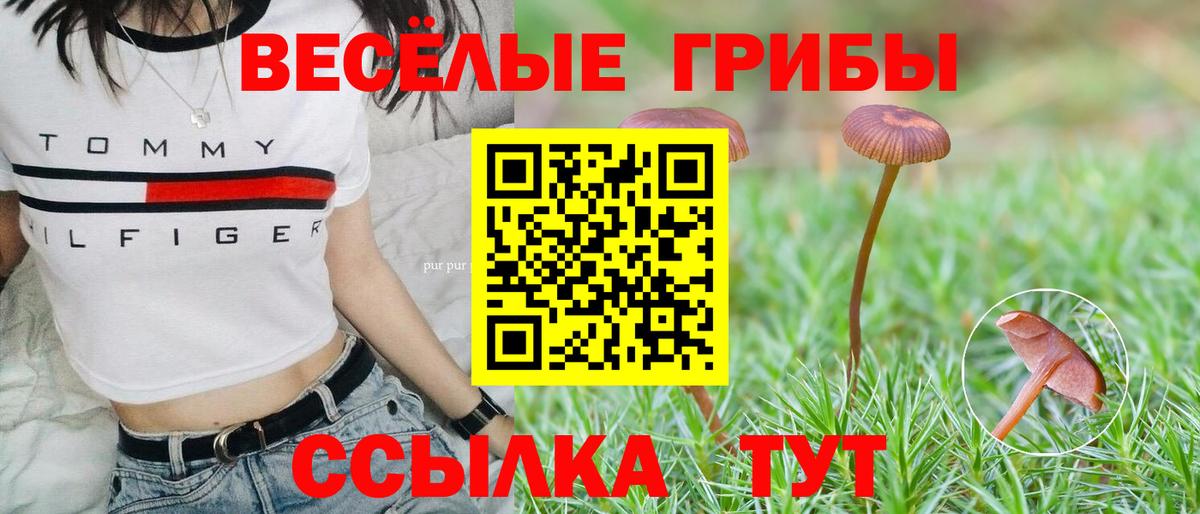 Псилоцибиновые грибы Psilocybine cubensis  Галлюциногенные грибы мицелий  Вход с VPN  Майкоп 